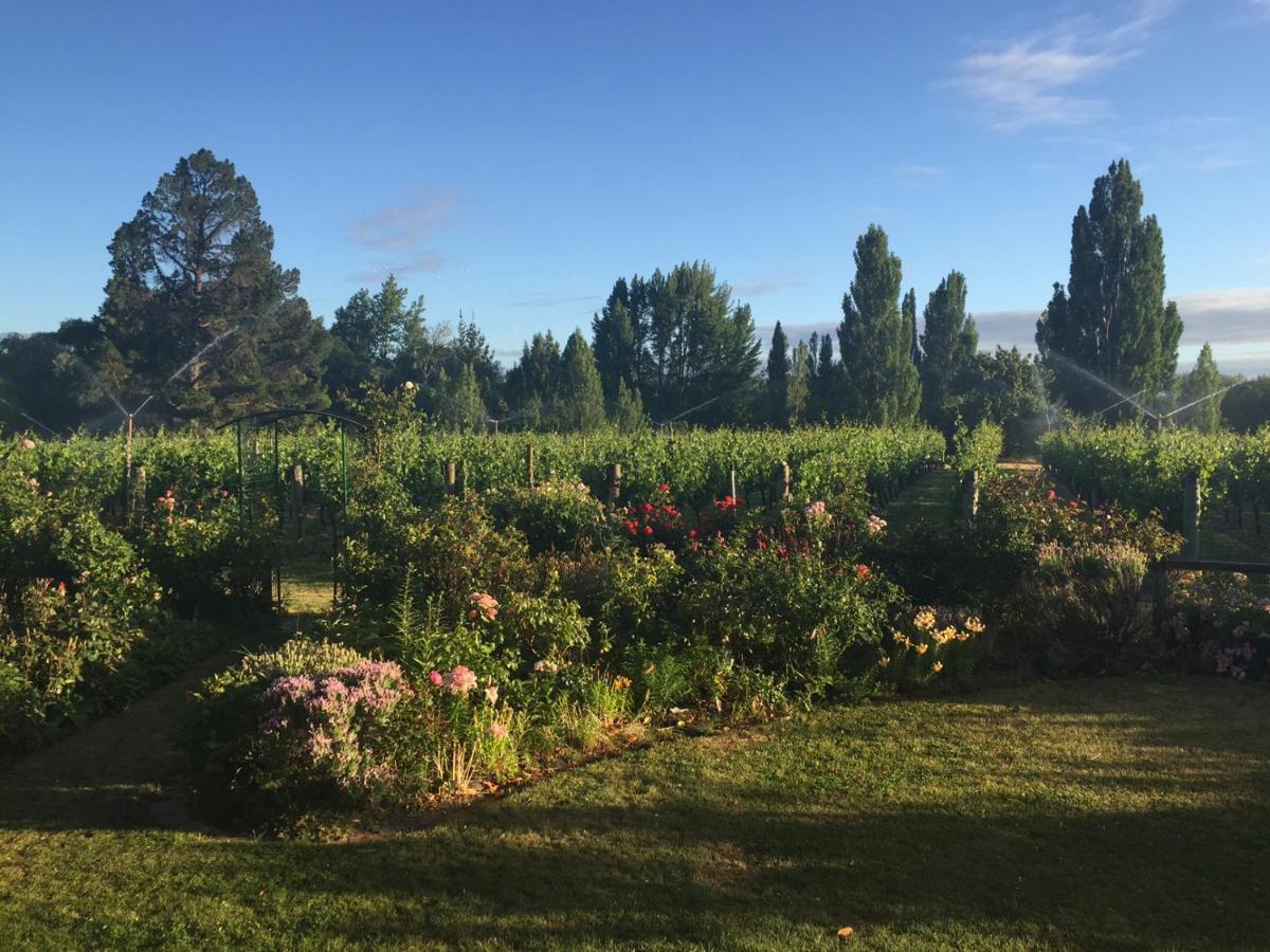 'The Crib' On Legacy Vineyard Villa Alexandra Cameră foto